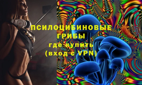 амф Володарск