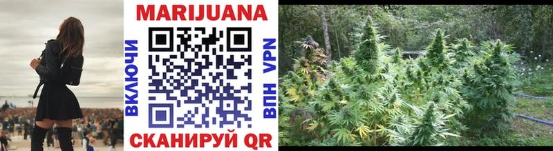 Каннабис SATIVA & INDICA  kraken tor  Назарово 
